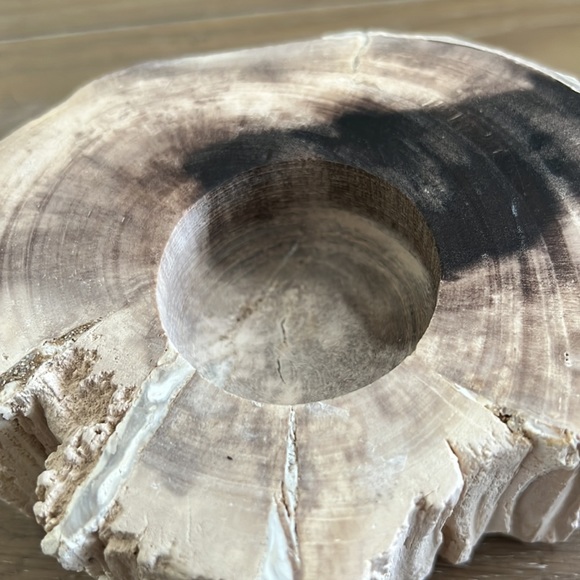 Genuine petrified wood tea light holder & decorative object natural cream black - Picture 16 of 16